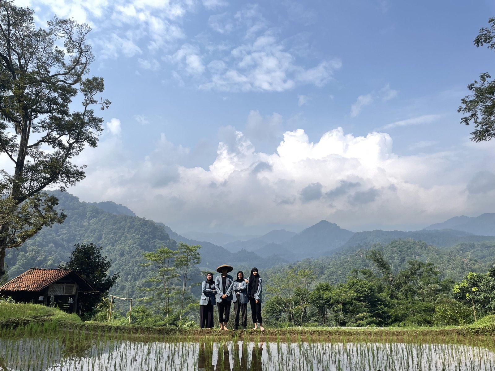Terasering Sawah Edukasi Pertanian
